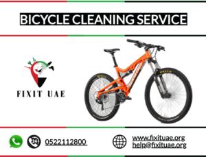 Bicycle Cleaning Service