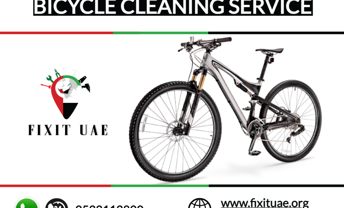 Bicycle Cleaning Service