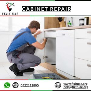Cabinet Repair