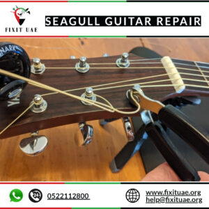 Seagull guitar repair