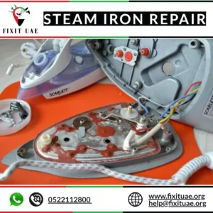 Steam Iron Repair