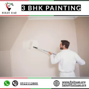 3 BHK Painting
