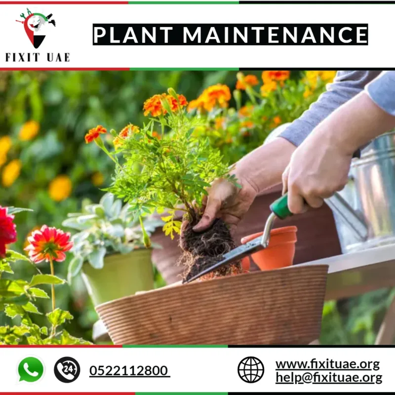 Plant Maintenance