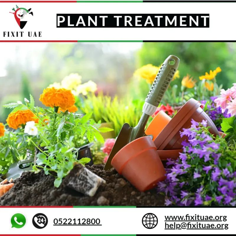 Plant Treatment