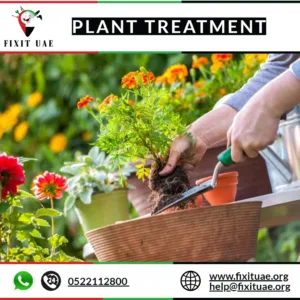 Plant Treatment
