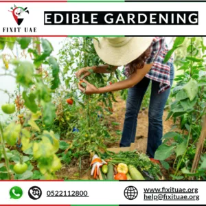 Edible Gardening