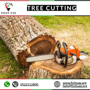 Tree Cutting