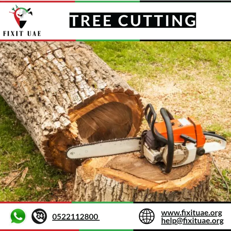 Tree Cutting